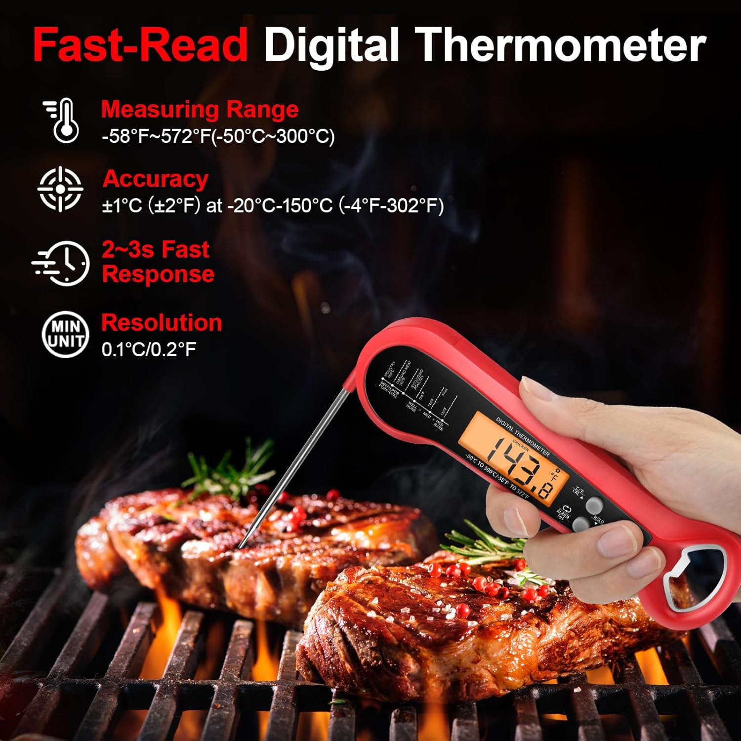 Digital Thermometer Probe - Profesyonel Dijital Et Termometresi, 2 Problu,